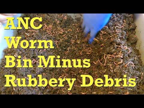 African nightcrawler worm bin's 19th feeding after 13 day interval - vermicompost