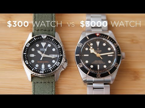 $300 Watch Vs $3000 Watch | Seiko SKX013 Vs Tudor Black Bay 58