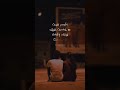 ️ Angaditheru Lyricsstatus Favorite Shorts Kathaigalai Pesum Status Song