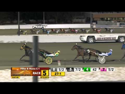December 13, 2013 - Race 5 - Tiger Boudoir