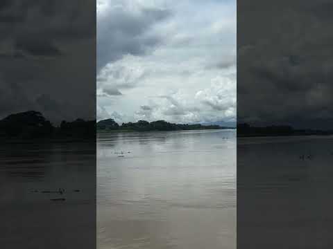 Río Cauca, Colombia #viral #wildlife #colombia #riocauca #fluvial Achí, Bolívar #chalupa