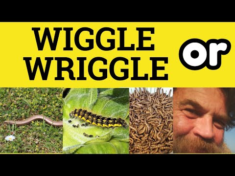 🔵 Wriggle or Wiggle - Wriggle vs Wiggle - Difference Meaning Examples - ESL British Pronunciation