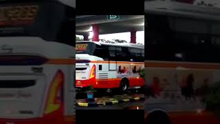 Download lagu adu cepat bus mewah PO HARAPAN JAYA casis SCANIA#shorts@pantura km 87 mp3