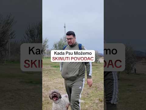Kada pustiti psa sa povodca? Ne pustati psa ako nije u 100% kontroli tj dresiran! #superdog