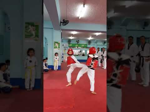 PTC BB vs TEAM CENTRAL RB