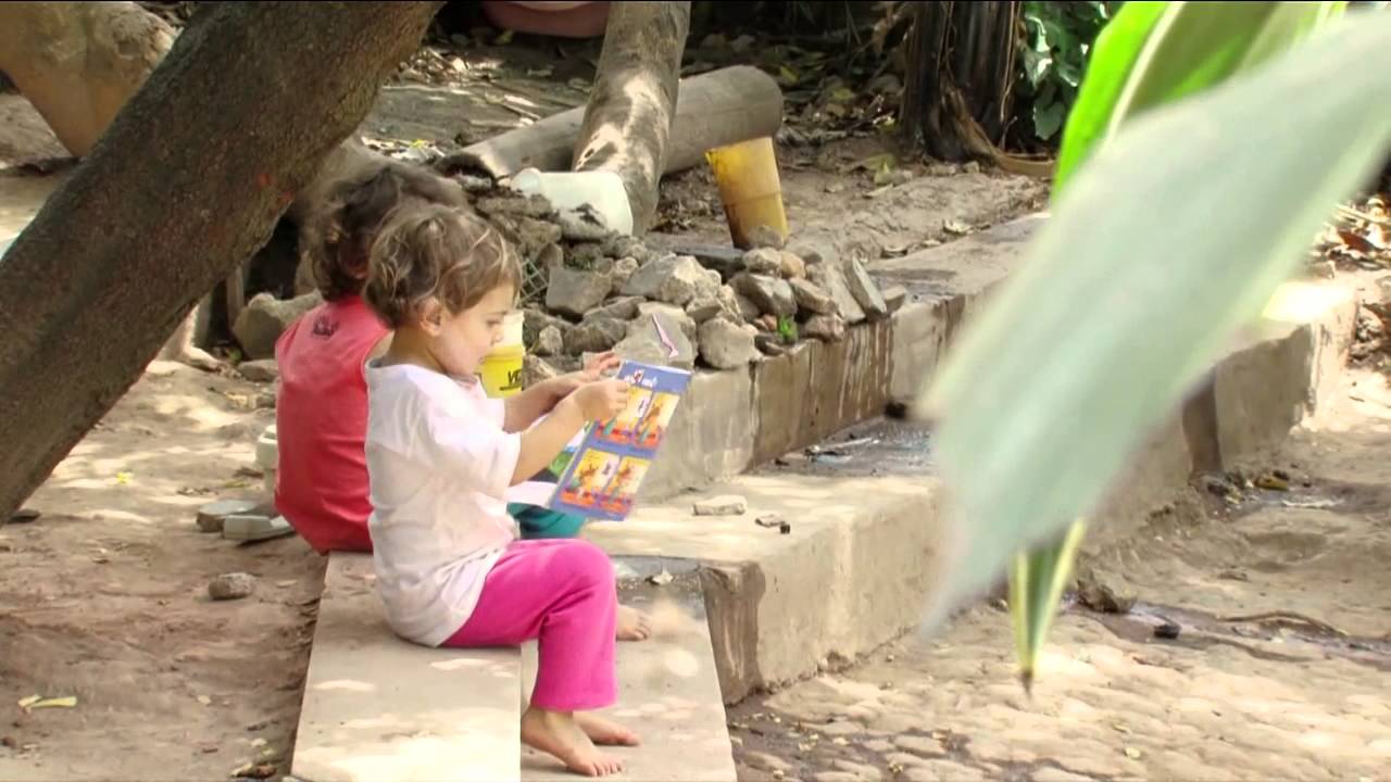 Sementes do Nosso Quintal - Casa de Insetos