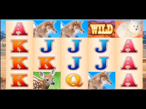 Mountain Fox Slots
