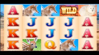Mountain Fox Slot Machine Gambling