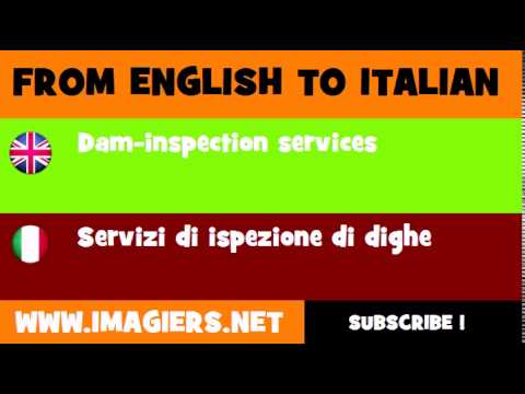 How to say Dam inspection services in Italian