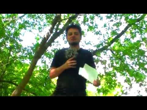 Objawienia fatimskie