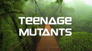 Teenage Mutants & Purple Disco Machine - Get Lost (Original Mix)