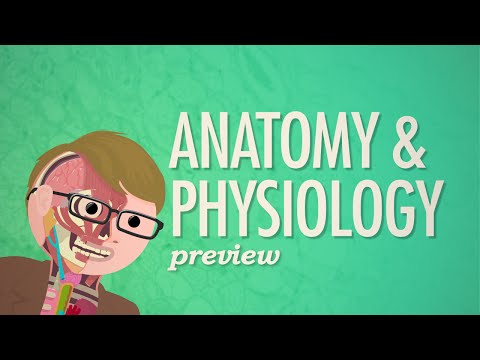 Crash Course Anatomy Physiology Preview