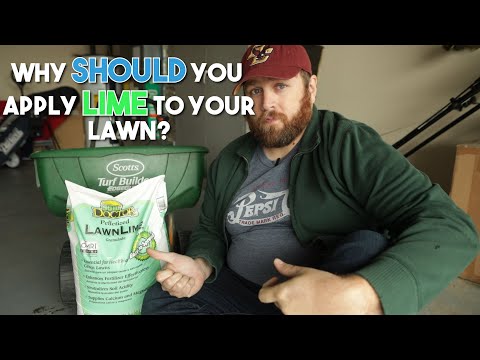 image-Should you put lime on your lawn every year?