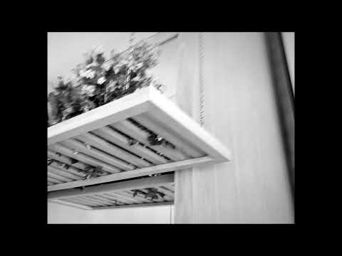 04. Seng° - lu-du° (ft. barkingbart°)