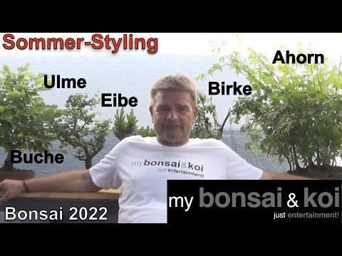 Bonsai 2022-35 - Sommer-Styling bei Hainbuche, Ahorn, Eibe, Ulme und Birke
