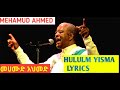 MEHAMUD AHMED HULUN YISMA መሀሙድ አህመድ ሁሉም ይስማ music lyrics video