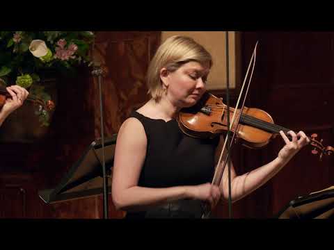 Vivaldi: Concerto for violin and strings in D RV234  Thumbnail