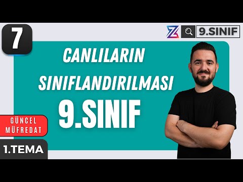Sınıflandırma