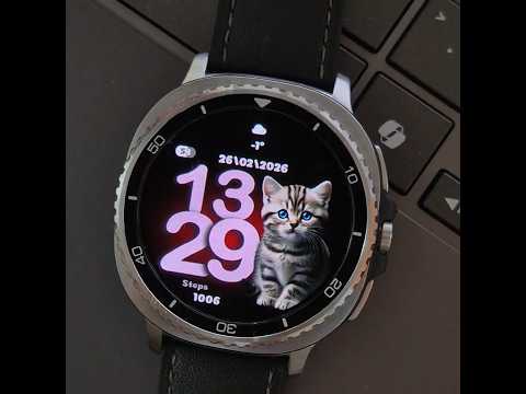 Little kittens video thumbnail
