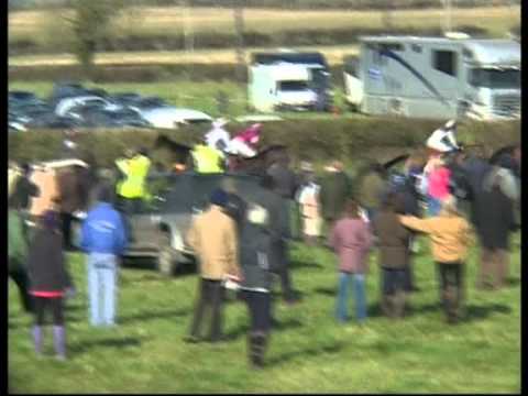 Lot 7  SHANESHILL, 4yo, B, Geld, King's Theatre (IRE) -- Darabaka (IRE) (Doyoun)