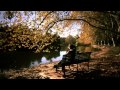 Sinead O Connor Something Beautiful