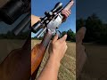 Browning Blr 243 Lever Action Rifle