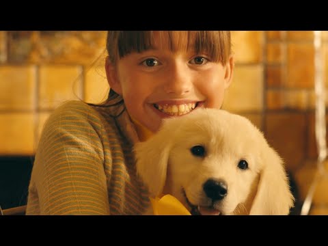 Takeaway x Happier x Faded Mashup - The Chainsmokers, Marshmello, Alan Walker Video Version