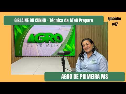 Ovo caipira ganha espaço no mercado e pode virar oportunidade real para produtores de MS