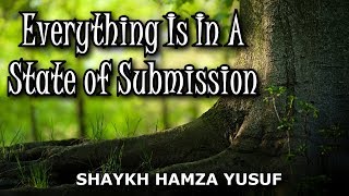 Video: Everything in the World is in a state of Submission to God - Hamza Yusuf