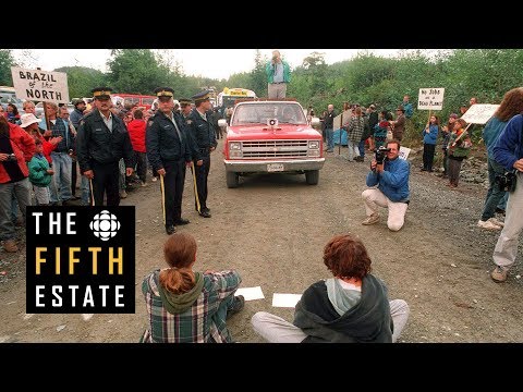 Clayoquot Sound : The Last Battlefield (1993) - The Fifth Estate
