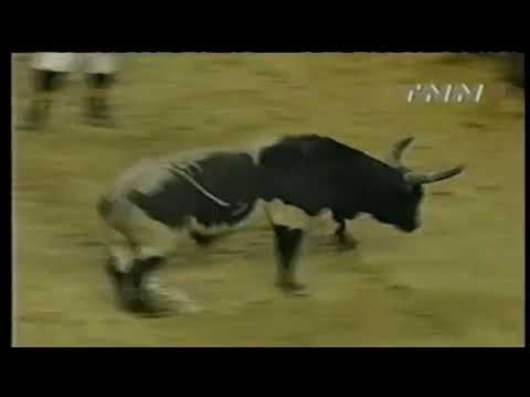 Skat Kat bucks Brock Mortensen - 00 PBR Columbus, GA