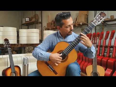 Ferrarotti Modello Concerto Maestro Cristian Zambaia Capriccio Arabo F  Tarrega