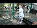 Climbing At John Jay Park