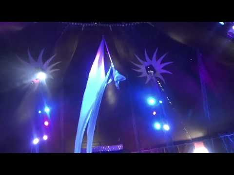 Chiffon with Alcira Dominguez