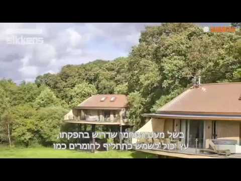 המדריך המקיף לטיפול ולצביעת עץ - פרק 1 - הכרות עם עולם העץ 