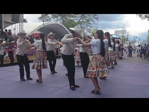 ARAUQUITA (Arauca) en el 24° Joropódromo - Torneo del Joropo 2025 - Villavicencio