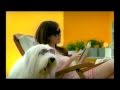 ICI Dulux Weathershield Happy Home 2011