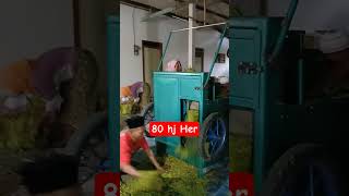 Download lagu tembakau #art #lucu #ngakak #viral mp3