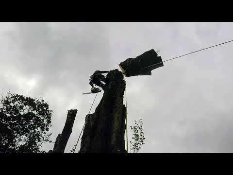 CJM Tree Care video.