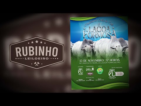 LEILÃO DE CORTE -  LAGOA FORMOSA MG  13 DE NOVEMBRO - 17H00