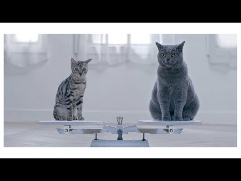 Acer | Swift 5 [Part 3]