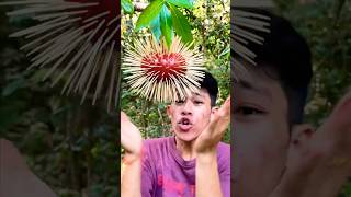 Download lagu Don't eat fallen fruit, everyoneπ₯ mp3 Download lagu Don't eat fallen fruit, everyoneπ₯ mp3
