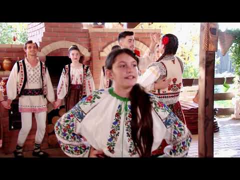 Gabriela Prejvara -Frunzuliță trei sulfine