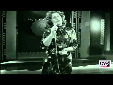 Anita take udhet e atdheut me therrasin hd