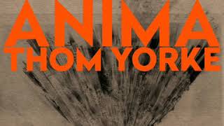 Musik-Video-Miniaturansicht zu Dawn Chorus Songtext von Thom Yorke
