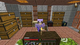 【マイクラ】すてるだむのTT　08