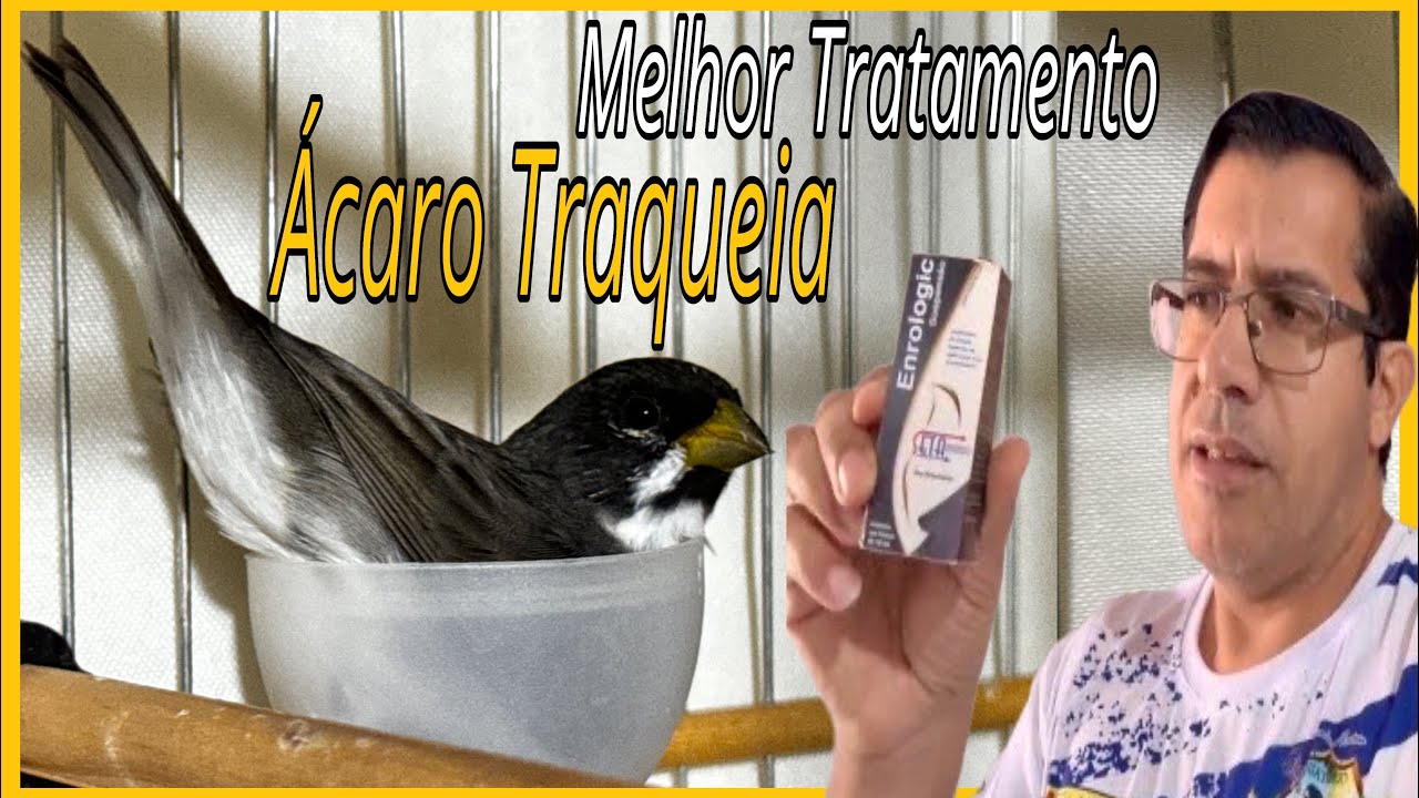ÁCARO DE TRAQUEIA MELHOR TRATAMENTO QUE EXISTE