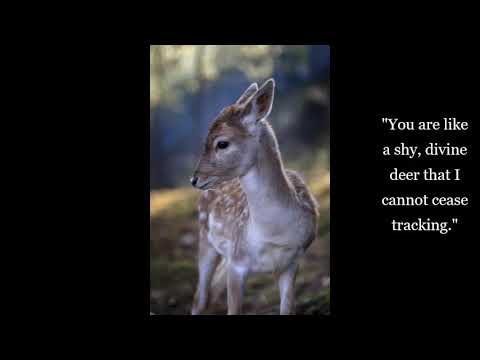 "Hafiz" ~ The Scent of Light ~ Sufi Mysticism