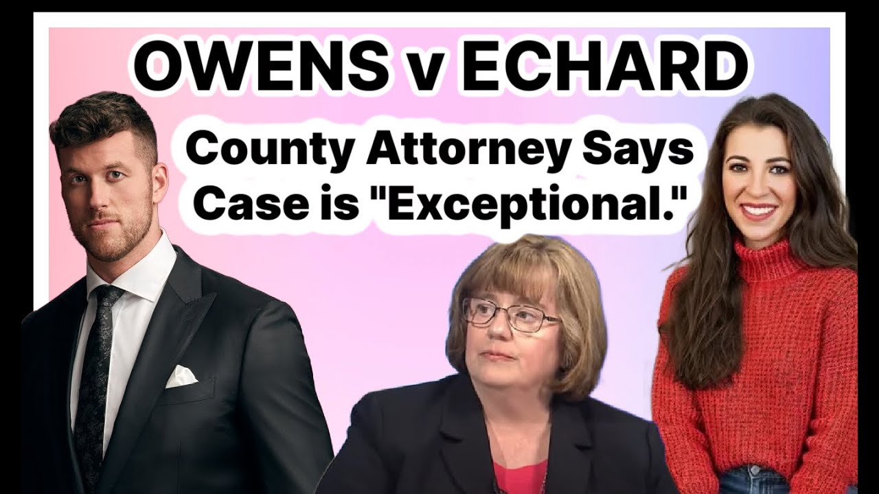 County Attorney on Laura Owens: "Obviously the Nature of the Case is Exceptional."