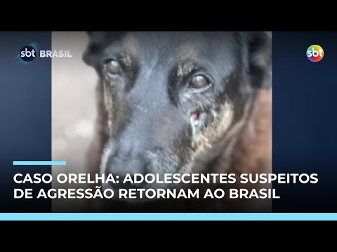 SBT News and SBT Jornalismo